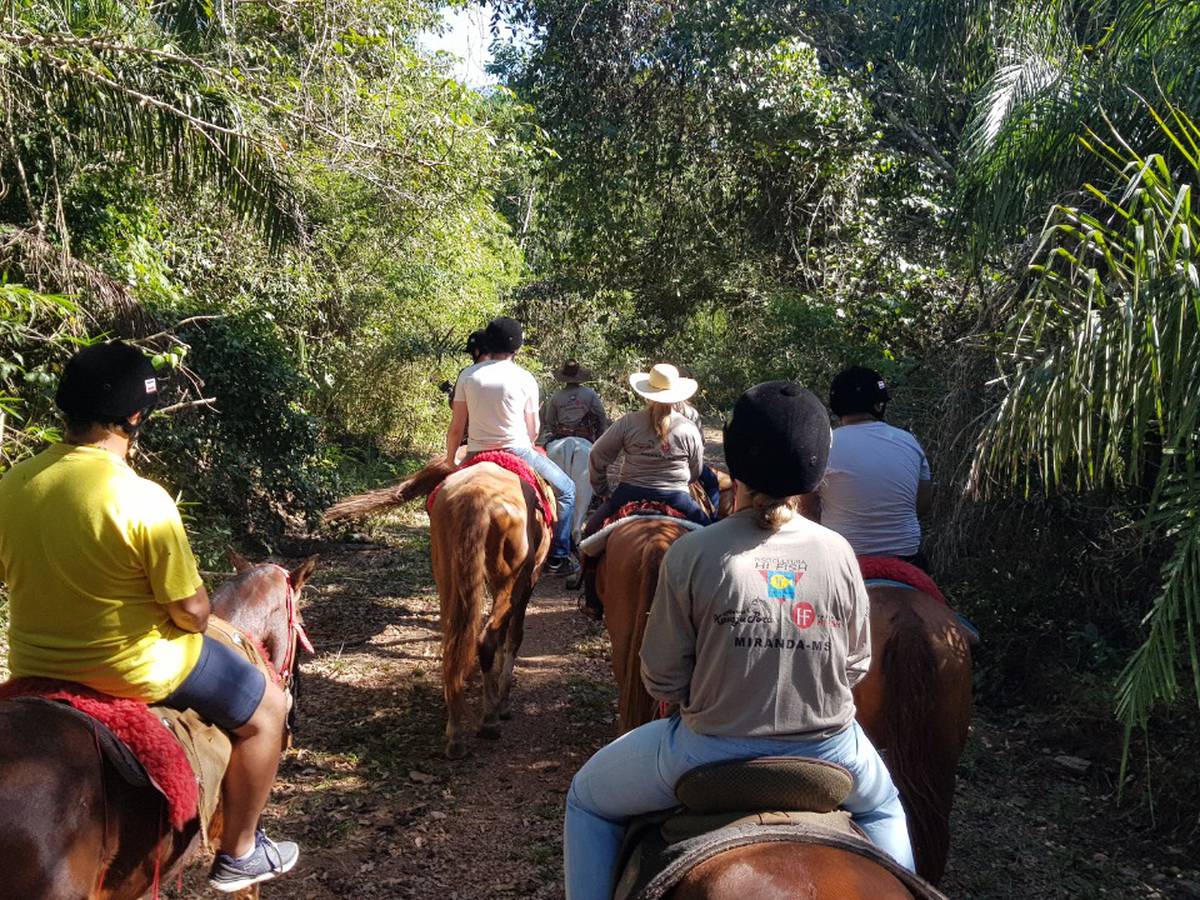 Peão tocando a boiada - Mato Grosso