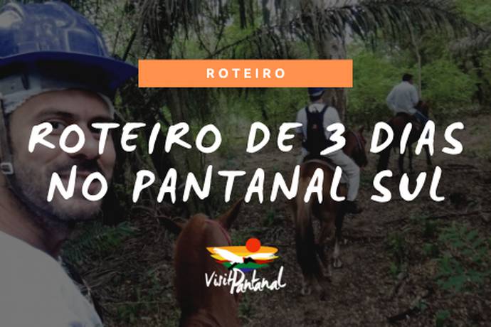 Passeios no Pantanal: 8 Lugares Que Vale a Pena Incluir no Roteiro