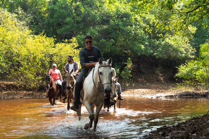 Passeios a cavalo que são ótimas pedidas para conhecer a natureza  pantaneira de pertinho