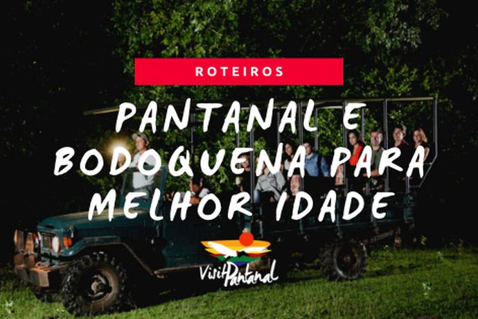 Passeios no Pantanal: 8 Lugares Que Vale a Pena Incluir no Roteiro